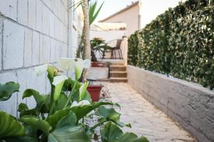 a walkway with plants and stairs in a house at Luxury apartment Marko in Dubrovnik