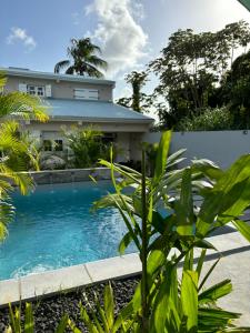 - une piscine en face d'une maison dans l'établissement Villa Elise, à Ducos