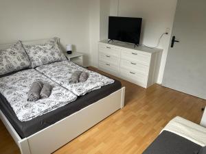 1 dormitorio con cama y vestidor con TV en Apartment Paulberg, en Ardagger Stift