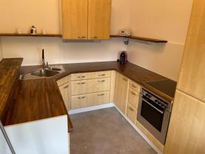 Kuchyň nebo kuchyňský kout v ubytování Apartment Paulberg