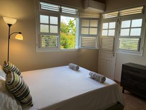 ein Schlafzimmer mit einem Bett mit zwei Kissen und zwei Fenstern in der Unterkunft Villa Elise Jolie Maison , Piscine, WiFi, pour 7 personnes in Ducos