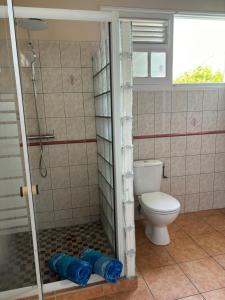 Vannituba majutusasutuses Villa Elise Jolie Maison , Piscine, WiFi, pour 7 personnes