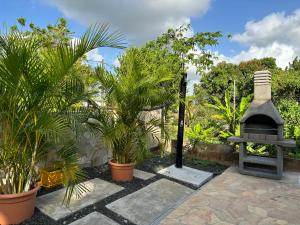 einen Außengrill in einem Garten mit Palmen in der Unterkunft Villa Elise Jolie Maison , Piscine, WiFi, pour 7 personnes in Ducos