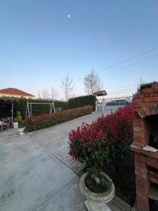 Fotografie z fotogalerie ubytování Villa Çerpja v destinaci Kamëz