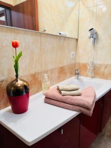 een badkamer met een vaas met een bloem op een toonbank bij Oregano Apartmanok Siófok in Siófok
