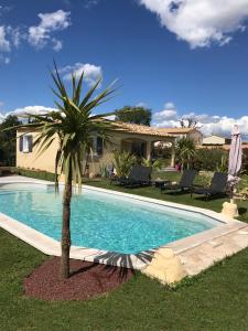 uma palmeira sentada ao lado de uma piscina em Le petit Mas des Lavandins em Vernègues