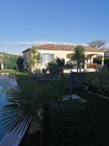 een huis met palmbomen en een zwembad bij Le petit Mas des Lavandins in Vernègues