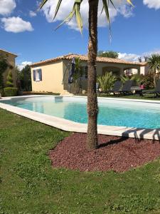 een palmboom naast een zwembad bij Le petit Mas des Lavandins in Vernègues