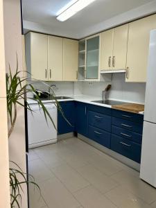 Η κουζίνα ή μικρή κουζίνα στο Superb Duplex in San Javier