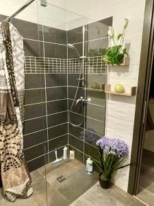 a shower with a glass door in a bathroom at Maison de 3 chambres avec piscine privee jardin clos et wifi a Saint Gely du Fesc in Saint-Gély-du-Fesc