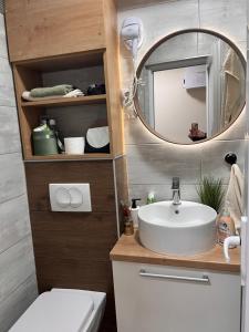 a bathroom with a sink and a mirror at Studio 5 apartman in Kragujevac