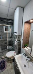 a bathroom with a shower and a toilet and a sink at GOLD APARTMANI in Prokuplje