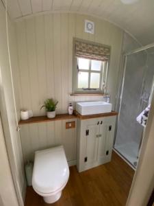 a bathroom with a toilet and a sink and a shower at Woodpecker Shepherds Hut in Boston