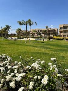 a park with white flowers and palm trees and buildings at Appartement à Marrakech (Piscine) in Marrakech