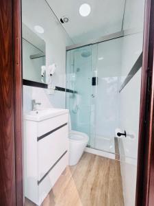 a bathroom with a shower and a sink and a toilet at Caravanas Con Encanto El Palmar in El Palmar