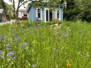a blue house with a field of grass and flowers at Glamping at The Old Rectory in Dún Ard