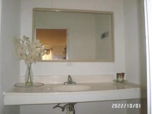 a bathroom sink with a mirror and a vase of flowers at Hotel Villa Ordonez in Pochomil