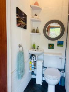 a small bathroom with a toilet and a sink at Tyluna Cornish Cabin in Praze an Beeble