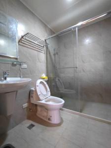 a bathroom with a toilet and a shower and a sink at Caiteng B&B in Zhongli