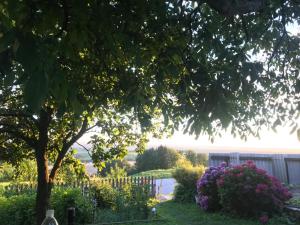 A garden outside Apartment Paulberg