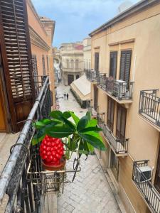un balcone con una pianta in vaso su una strada della città di Dimora Teodolinda Centro Storico Marsala a Marsala