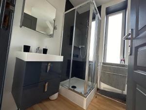 a bathroom with a glass shower and a sink at L'Escale des Weppes, appartement 40m2 in Haubourdin