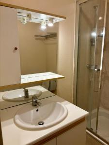 een badkamer met een wastafel en een douche bij Charmant studio tours nord in Tours
