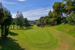 Golf pri apartmáne alebo okolí