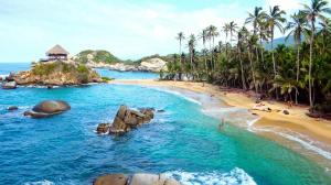 a beach with palm trees and people in the water at Hostal Principio Tayrona in Calabazo