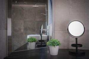 a bathroom with a mirror and two plants on a counter at Herdade do Lameiro - Turismo Rural in Ribeira Grande