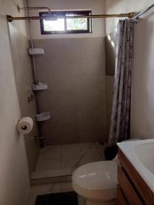 a bathroom with a shower with a toilet and a sink at Cabanas Zamoray 
