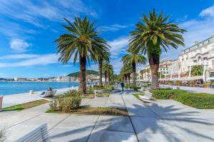 a city street with palm trees and buildings at Studios No. 81 in Split