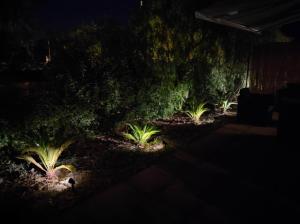 a row of plants in a garden at night at Casa Porto Palo in Porto Palo