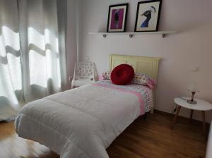 a bedroom with a bed with a red pillow on it at Apartamento Candelaria in Zamora