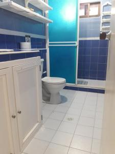 La salle de bains est pourvue de toilettes et d'un mur bleu. dans l'établissement APARTA-HOTEL YINNAM ARRIETA, à San Andrés