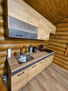 una cocina con fregadero en una cabaña de madera en Tóparti Rönkház Vaja, 