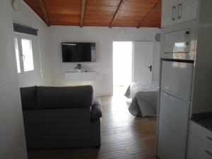 a kitchen and living room with a couch and a television at Apartamento Isabel in Ardales