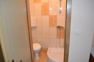La petite salle de bains est pourvue d'une douche et de toilettes. dans l'établissement Pansion Blažević, à Međugorje
