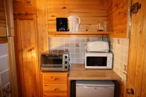 a small kitchen with wooden cabinets and appliances at Résidence Palafour - Studio pour 2 Personnes 371 in Tignes