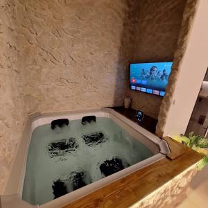 Elle comprend une télévision et une baignoire avec 2 vaches. dans l'établissement Dark & Light rooms & luxury suites, à Catane