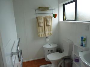 a bathroom with a toilet and a sink and a window at Ligita's Homestay in Havelock