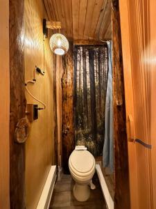 Et badeværelse på The Dome house near Hunter and Hudson