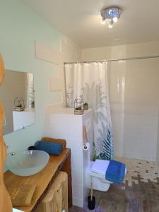 a bathroom with a sink and a toilet and a shower at Roulotte Ô Rêves Atypiques in Boucé