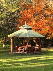 um gazebo com uma mesa de piquenique num parque em Denman Van Village em Denman