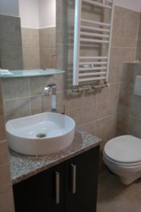 a bathroom with a sink and a toilet at Motel Valentina in Ion Roată +13 photos