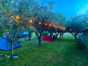 una fila de tiendas de campaña en un campo con luces en los árboles en O.K. Corral, en SantʼAndrea in Casale