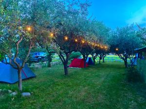 a row of tents in a field with lights on trees at O.K. Corral in SantʼAndrea in Casale