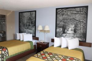 Habitación de hotel con 2 camas y una foto en la pared en Super 8 by Wyndham Clarksville East, en Clarksville