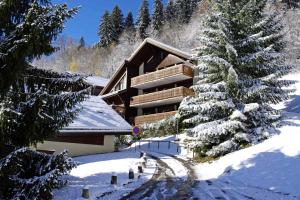 un lodge dans la neige avec un arbre de Noël dans l'établissement Résidence Dryades - Les Hauts De Planchamp - 3 Pièces pour 6 Personnes 651, à Champagny-en-Vanoise
