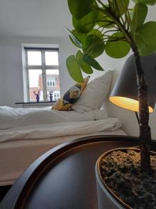 a bedroom with a bed and a potted plant next to a table at Stylish Apartment On Pedestrian Street Randers in Randers